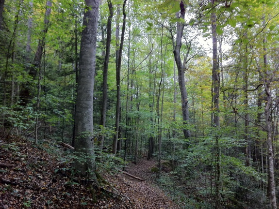 Kentucky Trail, Big South Fork